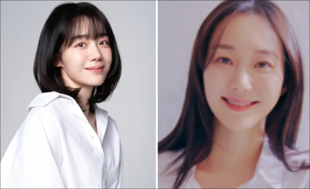 프로보노-출연진